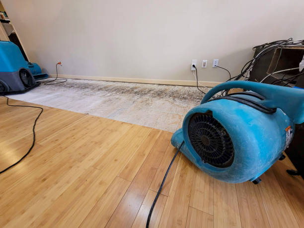 Professional Ceiling Water Damage Repair technician working in Munroe Falls, OH